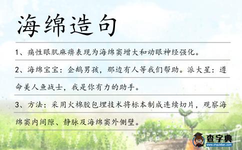 海綿造句