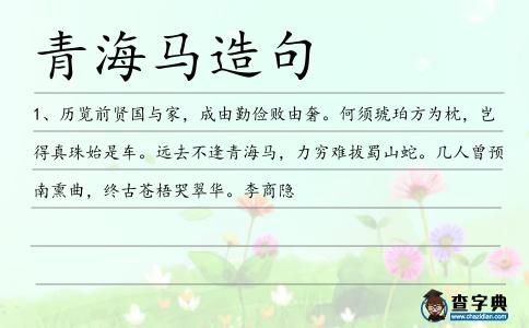 青海馬造句