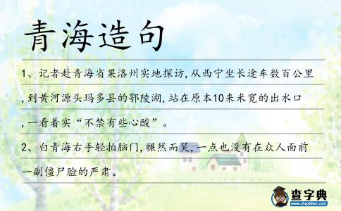 青海造句