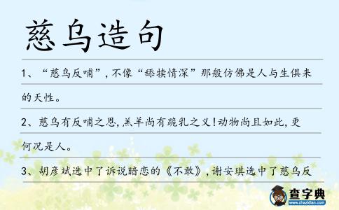 慈烏造句