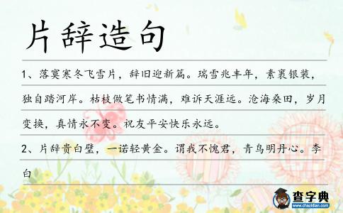 片辭造句