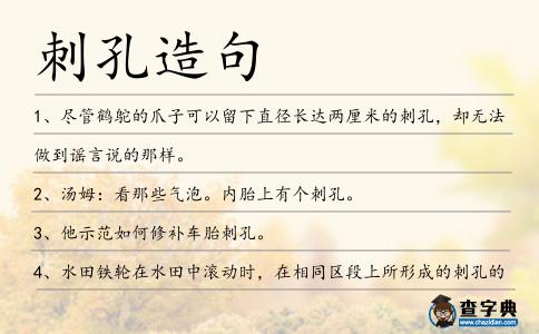 刺孔造句