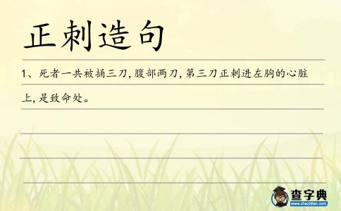正刺造句