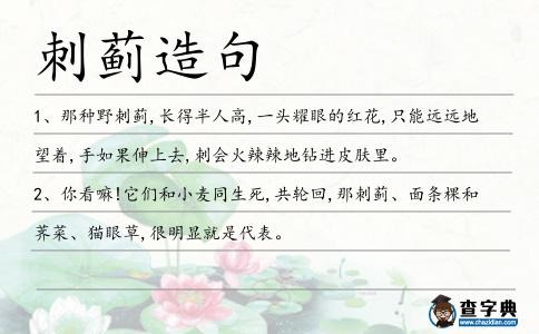 刺薊造句