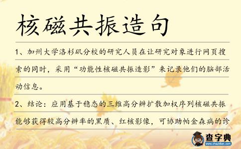 核磁共振造句