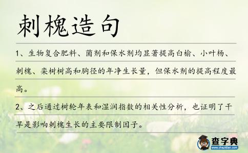 刺槐造句