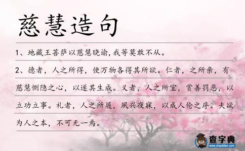 慈慧造句