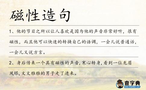 磁性造句