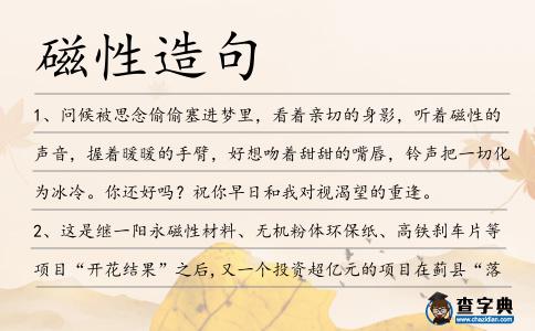 磁性造句