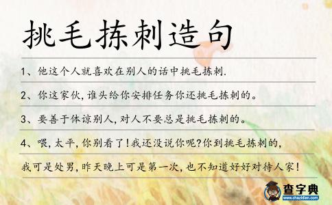 挑毛揀刺造句