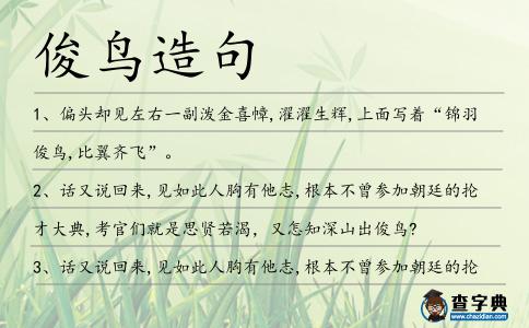 俊鳥(niǎo)造句
