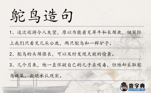 鴕鳥(niǎo)造句
