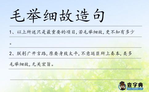 毛舉細故造句
