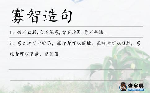 寡智造句