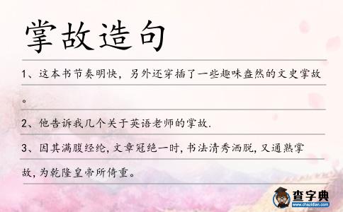 掌故造句