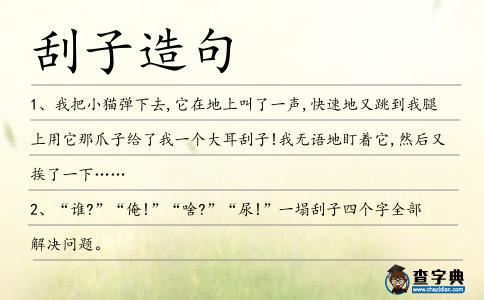 刮子造句