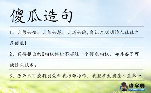 傻瓜造句