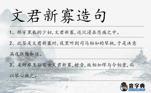 文君新寡造句