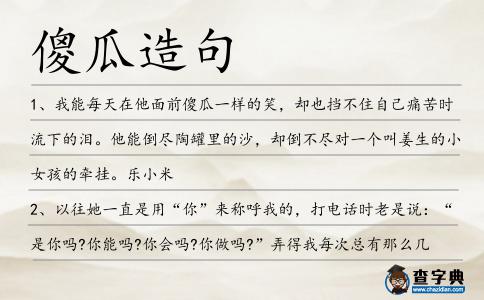 傻瓜造句