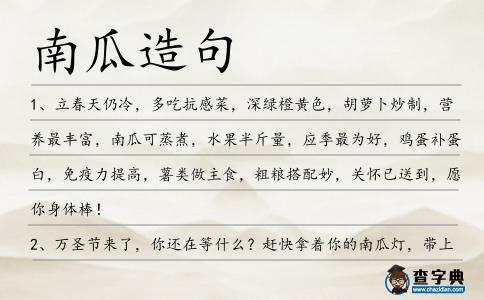 南瓜造句