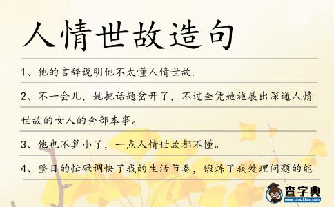 人情世故造句