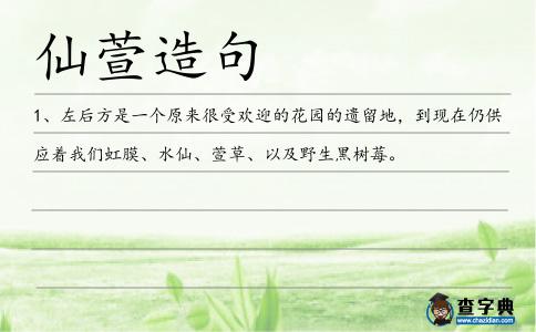 仙萱造句