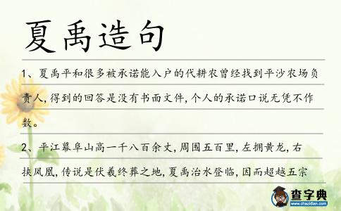 夏禹造句