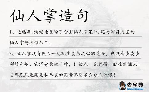 仙人掌造句