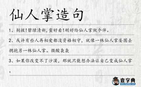 仙人掌造句