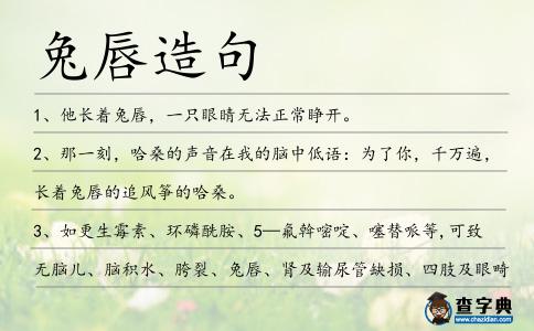 兔唇造句