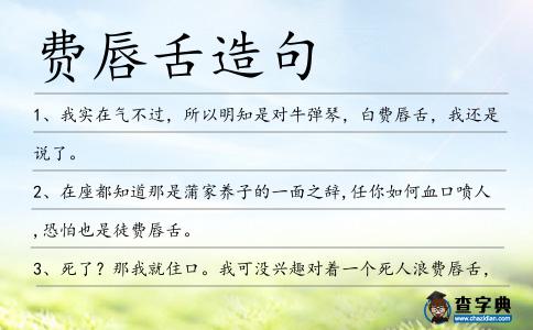 費唇舌造句