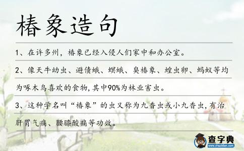 椿象造句