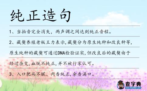純正造句