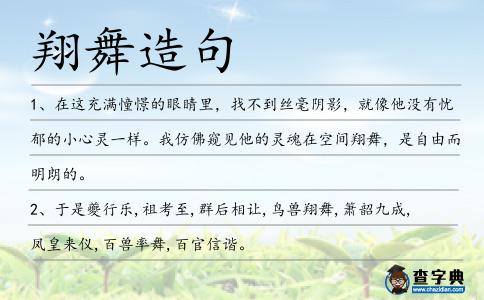 翔舞造句