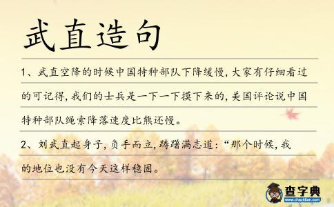 武直造句