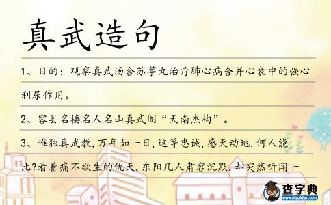 真武造句