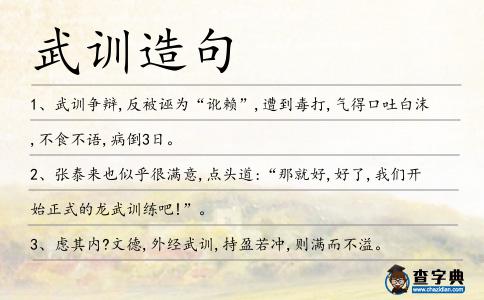 武訓造句