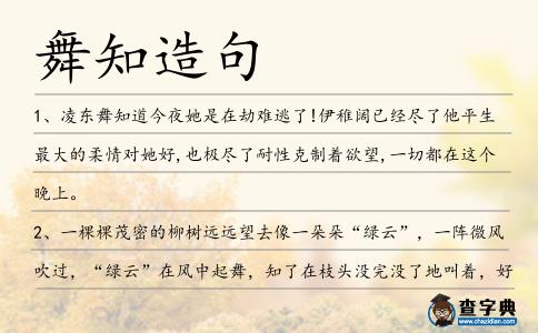 舞知造句