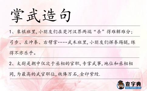 掌武造句