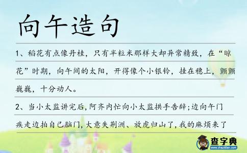 向午造句