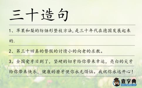 三十造句