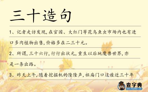 三十造句
