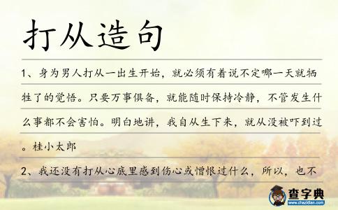 打從造句