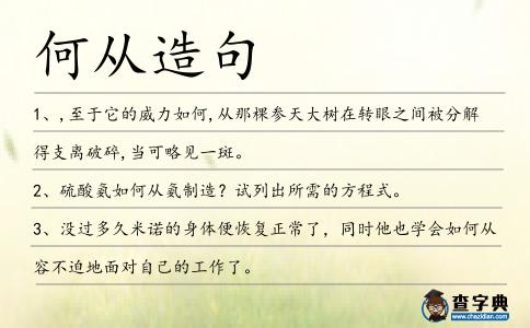 何從造句