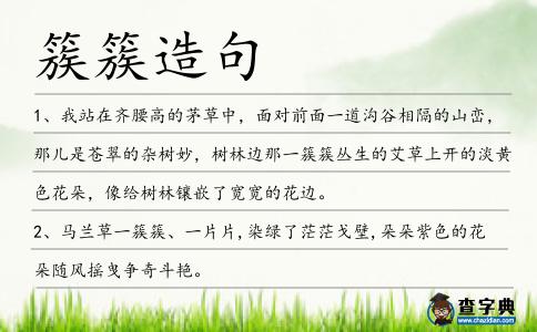 簇簇造句
