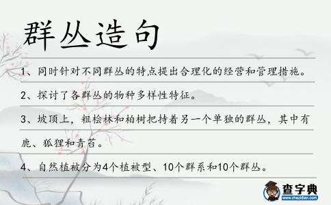 群叢造句