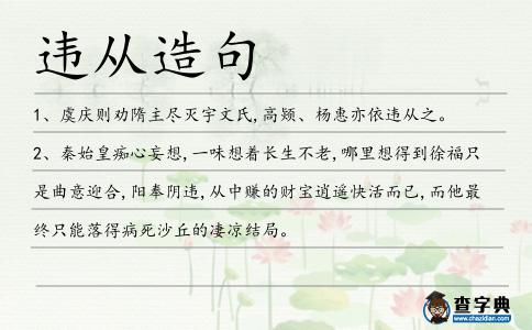 違從造句