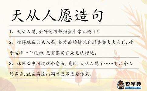 天從人愿造句