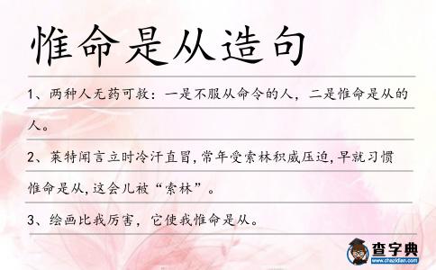 惟命是從造句