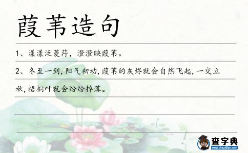葭葦造句